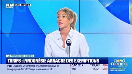 Caroline Loyer : Tarifs, l'Indonésie arrache des exemptions - 27/08