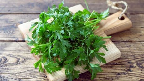 Petersilie giftig? Wann Sie das Küchenkraut nicht essen sollten