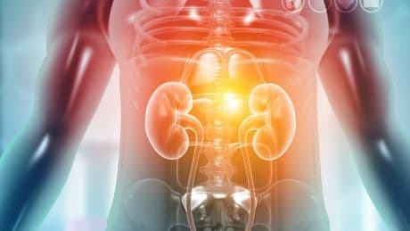Sind Ihre Nieren gesund? Bei diesen 5 Alarmsignalen sollten Sie zum Arzt gehen