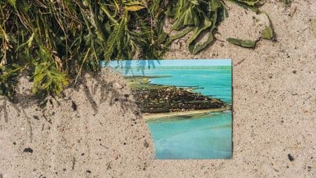 Urlaub auf Föhr: Gesucht: Giselchens Bank