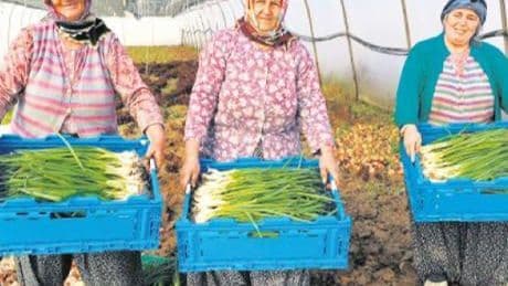 Gıda güvenliği için ‘gençlik’ harekâtı!