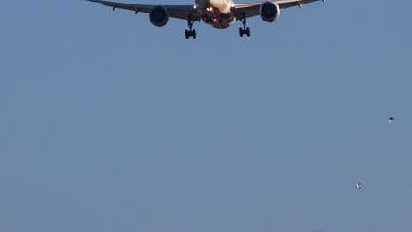 Air India: Is There a Safest Seat in a Plane Crash?