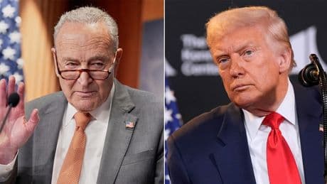 Schumer gives profanity-laced response to whether Dems will help extend DC police takeover