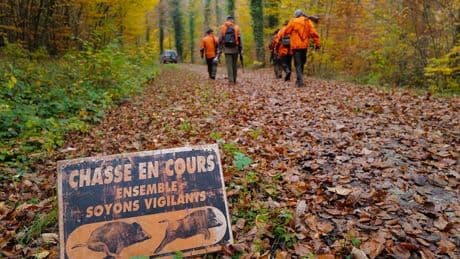 Ille-et-Vilaine: un homme tué lors d'une partie de chasse, son collègue lui a accidentellement tiré dessus