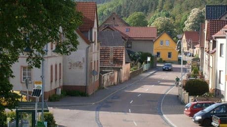 Bulldogge soll allein umherirren - Löst der Hund das Rätsel um die vermisste Sandra?