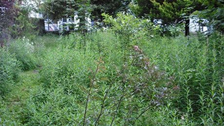 The decade long legal battle over this tiny plot of land in St Andrews