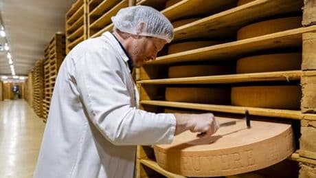 Schweiz im Zollstreit mit den USA: Molkerei Emmi erhöht vorsorglich Gruyère-Preise