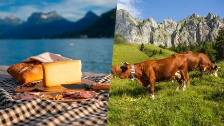 Fromage Abondance : la production en péril à cause «d’une diminution inquiétante» du nombre de vaches