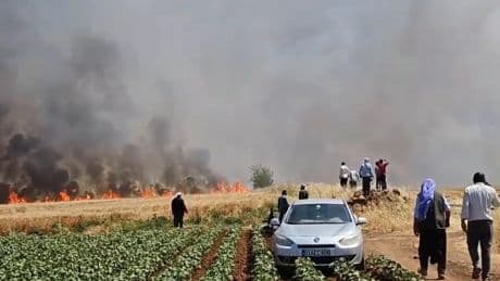 Urfa'da tarla yangını: 1'i ağır 5 yaralı