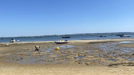 Enfant tué à Arcachon : pourquoi le pêcheur, condamné pour usage de stupéfiants, avait-il encore le droit de naviguer ?