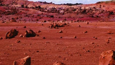 Tiny island that looks like Mars becoming new celeb hotspot