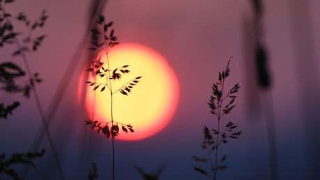 Wetter: Sonnige und heiße Aussichten für das Wochenende in Bayern