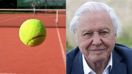 Sorry, What – David Attenborough Is The Reason Tennis Balls Are Yellow