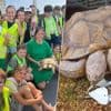 KIJK. Tweekoppige schildpad Kianga viert 13de verjaardag