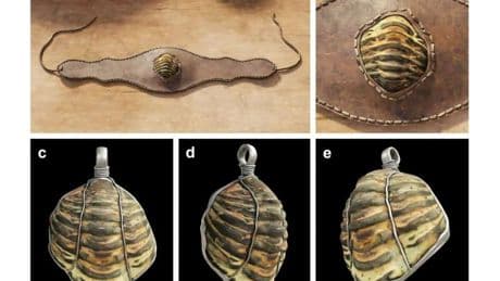 Extinct creature found INSIDE ‘magical’ Ancient Roman amulet lost for 2,000 years in ‘world first’ discovery