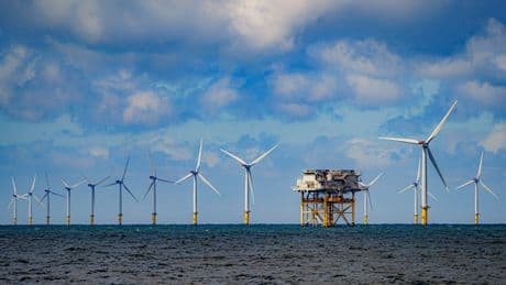 Windfarm which could power 1 million UK homes scrapped over rising costs