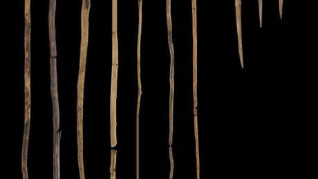 Die Schöninger Speere sind 100.000 Jahre jünger – mit Folgen