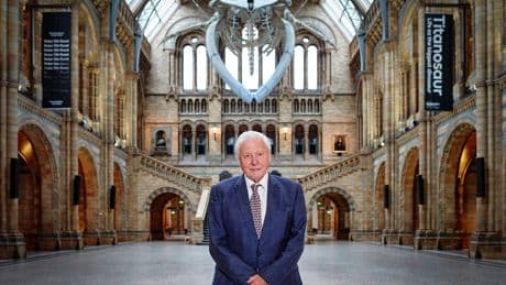 Five of the best David Attenborough shows to watch: from Frozen Planet to Dynasties