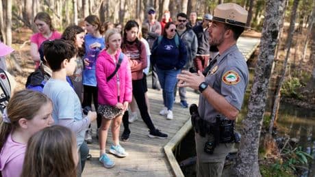 Insect-eating Venus flytraps thrive in the Carolinas as hikers peek into their native ecosystem
