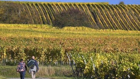 «Un climat anxiogène créé une envie d’ailleurs» : les Français préparent déjà leurs vacances de la Toussaint