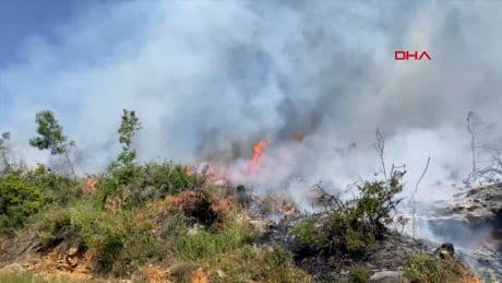 Alanya'da makilik yangını