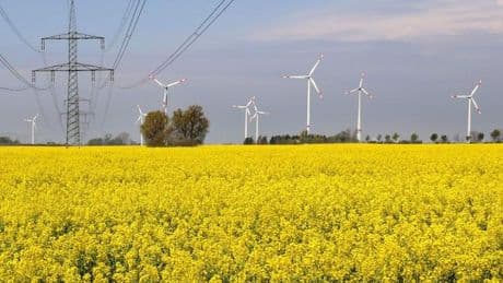 Klimaschutzgesetz: Umweltverband dringt auf Landesklimaschutzgesetz für MV