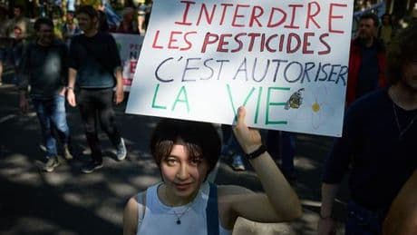 « Nous ne pouvons plus tolérer les coûts humains, écologiques et financiers des pesticides »