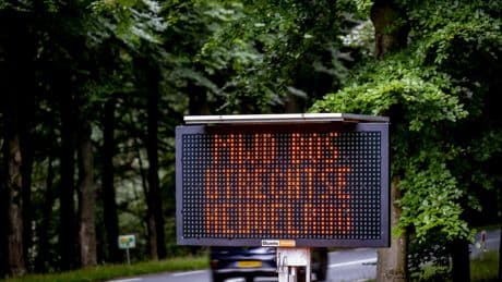 Wolf Bram beet kind op Utrechtse Heuvelrug, wijst dna-test uit
