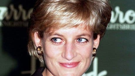 Princess Diana's forensic pathologist had breakdown after seeing bag of ice cubes