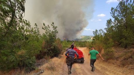 Çanakkale Bayramiç'te orman yangını: 3 köy boşaltıldı