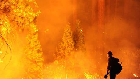 Survey: Do More Conservatives Fear Climate Change Than Liberals?