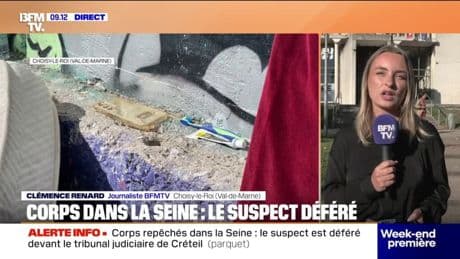 Corps retrouvés dans la Seine: le principal suspect déféré devant le tribunal judiciaire de Créteil