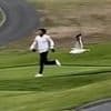 Moment divebombing seagull snatches golfer's wallet before swooping off with it