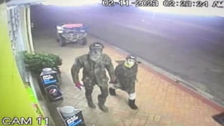 Cuatro años de huida, un robo y 12 horas de búsqueda: así se encontró a los tres niños secuestrados por su padre en Nueva Zelanda