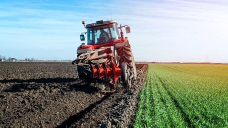 Condenan a un agricultor de 68 años en Francia por usar un herbicida ilegal: "No lo sabía, soy diabético"