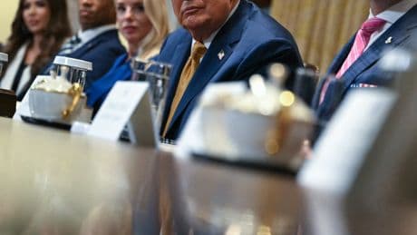 Trump’s Cabinet of Incompetents