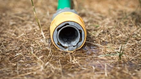 Yorkshire Water: Hosepipe ban announced for UK area - and it could last until WINTER
