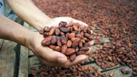 Easter Chocolate Demand Creates Supply Chain Squeeze