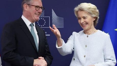 Enmienda parcial al Brexit