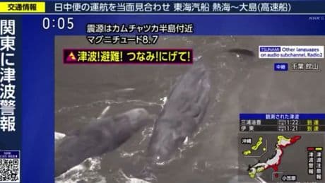 Cuatro ballenas varadas en una playa de Japón horas antes de la alerta de tsunami por el terremoto en Rusia