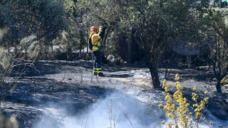 Espagne : l'incendie de Tarifa « stabilisé », retour des vacanciers évacués