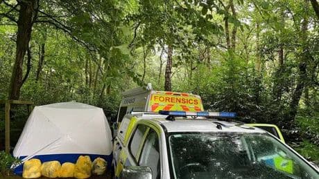 Murder probe enters third week as cops from across UK scour woodlands