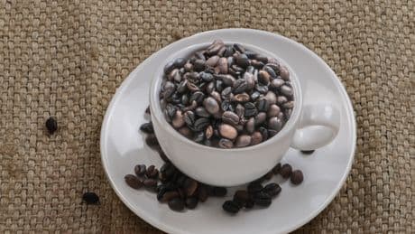 Wie ein Experte: So erkennen Sie gute Kaffeebohnen ganz leicht