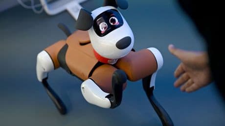 Zukunftstechnologie: Vom Labor in die Realität: Wo China Roboter einsetzen will