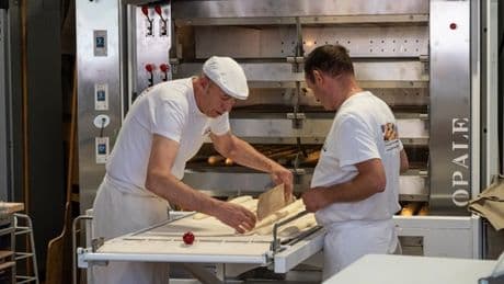 Apprentissage : le calvaire des petits patrons pour recruter