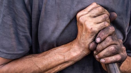 El negocio millonario de los trabajos forzosos en cárceles de Cuba: producen puros y carbón que exportan a Europa