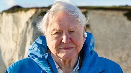 David Attenborough leaves directors in in tears over 'biggest message' he's ever told ahead of his birthday