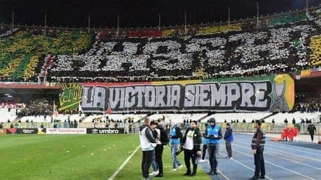 Three football fans dead and 80-plus injured in traumatic stadium disaster after title win