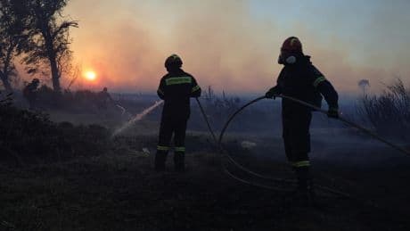 Waldbrände und Hitzewelle: Hunderte Brände wüten in Südosteuropa