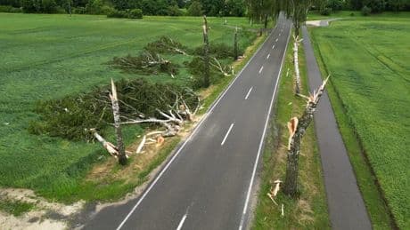Unwetter über Deutschland - Sturm reißt Bäume um